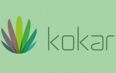 [Infográfico] Captação de investimento: Kokar Automação Residencial